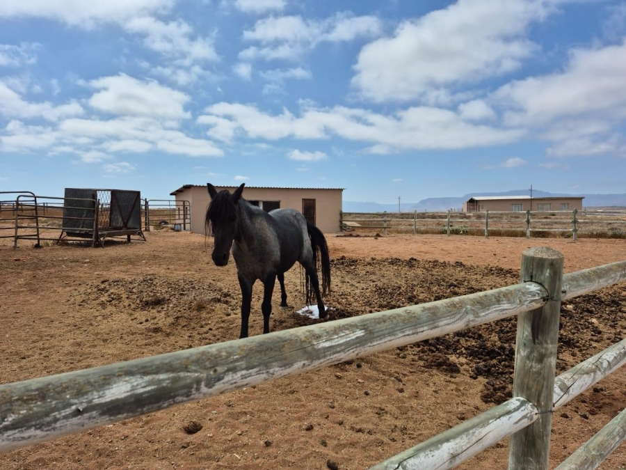 4 Bedroom Property for Sale in Vredendal Rural Western Cape